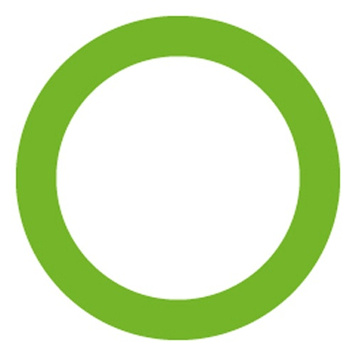 MT0331 GREEN HNBR O-RING - SAAB.jpg