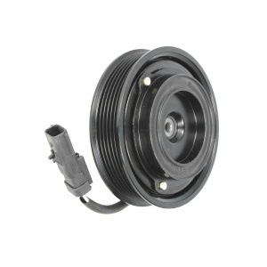 Sprzęgło Sprężarki NIPPONDENSO DENSO 10S17C HONDA