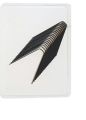 C.2,.png