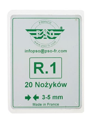 R.1.png