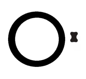 Oring 15,9x2,7mm CITROEN, PEUGEOT