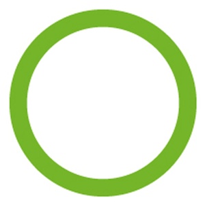 Oring 17,3x2,4mm AUDI