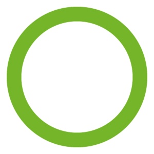 Oring 19x2,5mm OPEL, SAAB