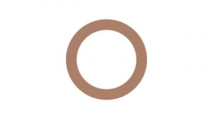 Oring 14 x 2,5mm CITROEN, PEUGEOT