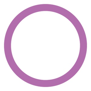 Oring 24 x 2,4mm VOLKSWAGEN